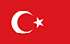TGM Surveys to earn moneys in Turkey